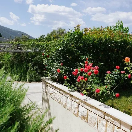 斯盖别墅 公寓 *