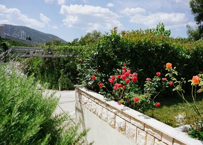 斯盖别墅 公寓 *