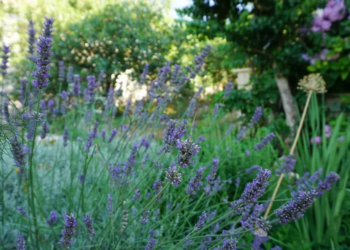 公寓 斯盖别墅 *